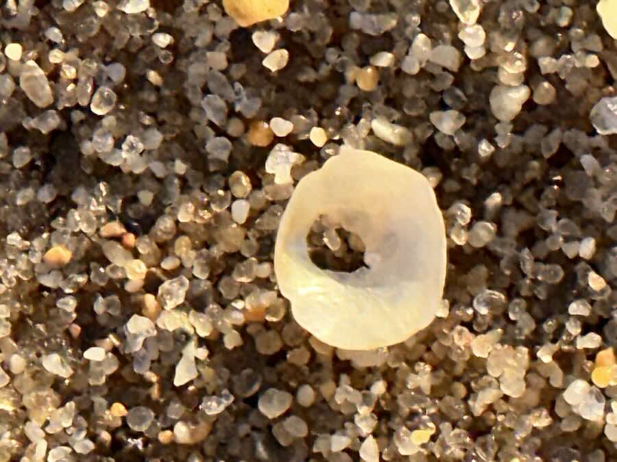 Close-up of sand grains and holes on beach