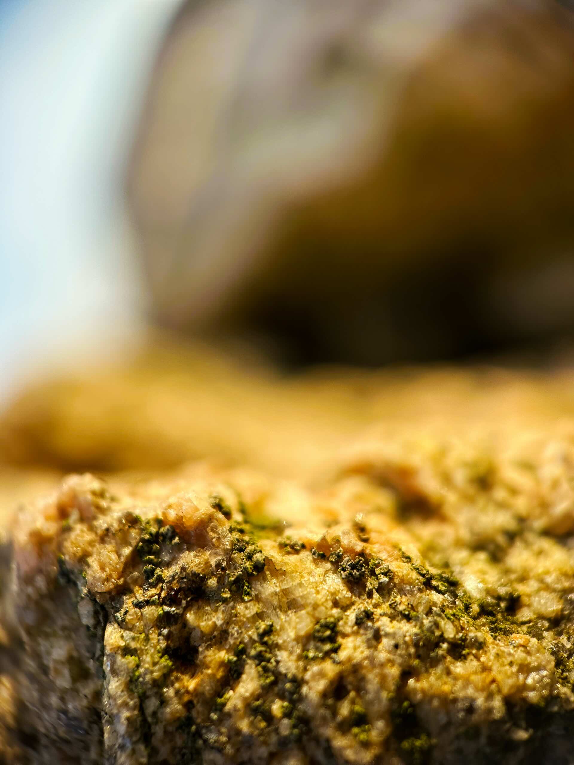 Close-up of textured rock surface with lichen